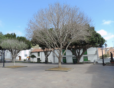Casa-Arona-Rural-plaza-de-arona